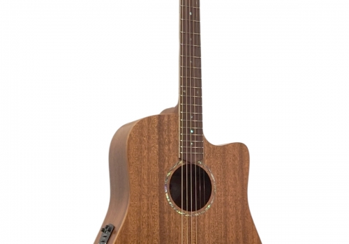 CCSFL1EC-MMAH