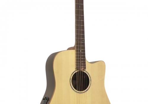 CCSFL1EC-SR